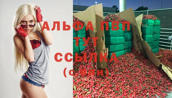 индика Ханты-Мансийск