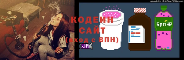 молекула духа Майский