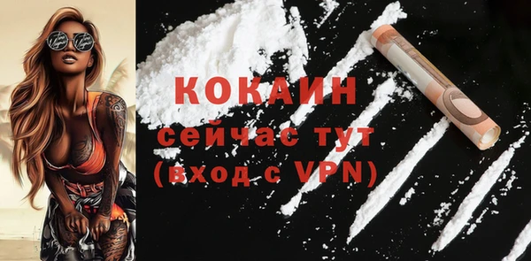 молекула духа Майский