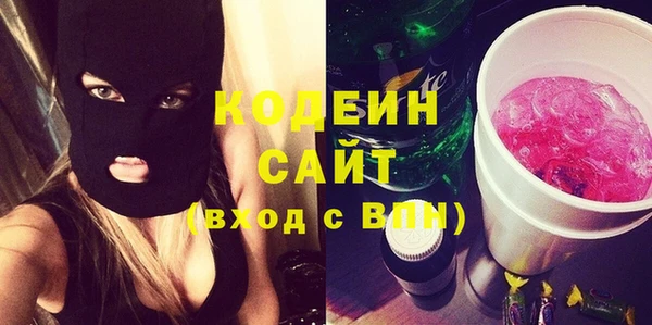 молекула духа Майский