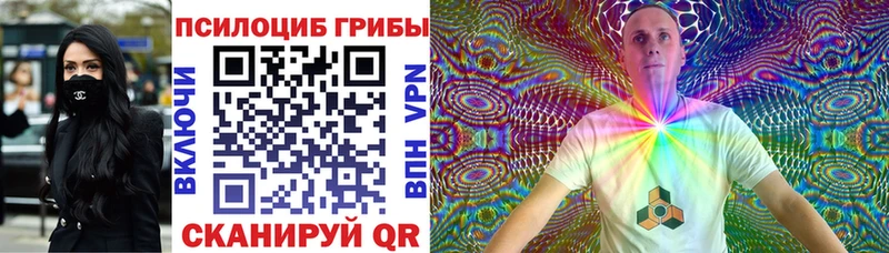Псилоцибиновые грибы мицелий  Данилов 
